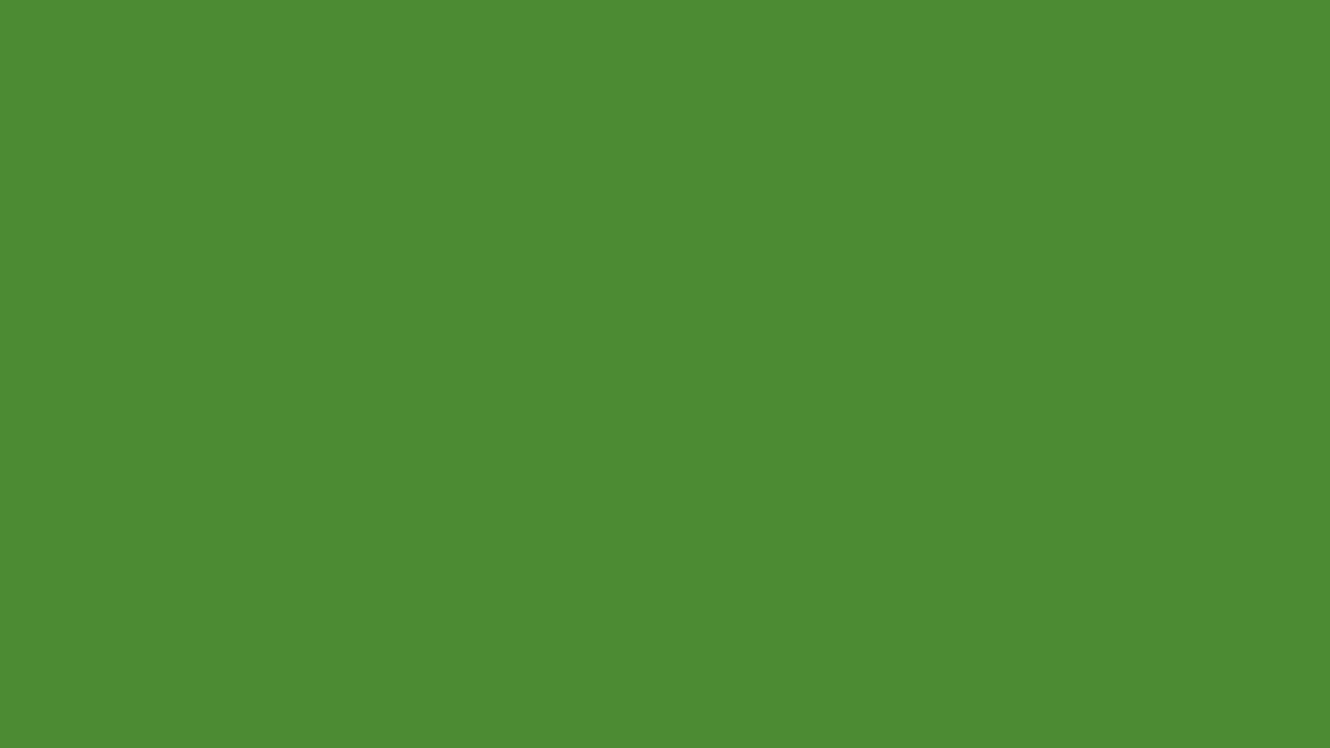 FOND vert fonce
